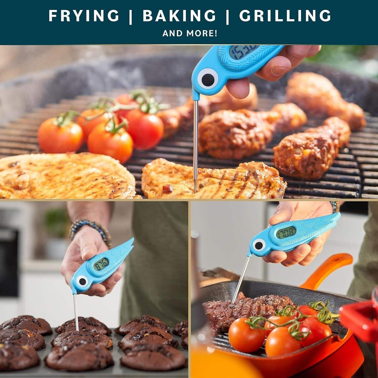 Digital Food Thermometer