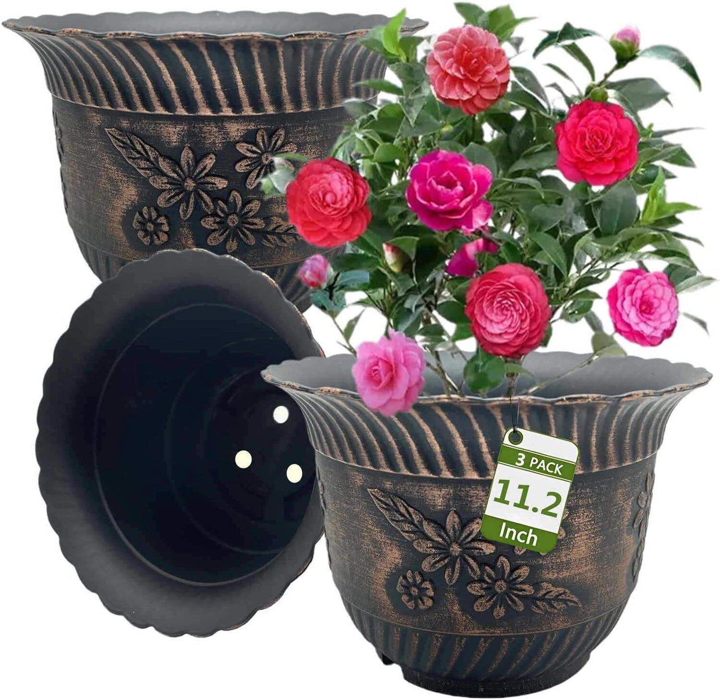 large indoor plant pot